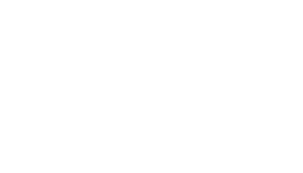 A Conexão Digital